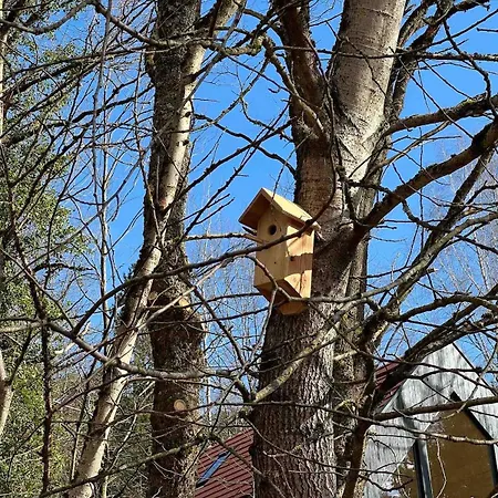 Z Σπίτι διακοπών *