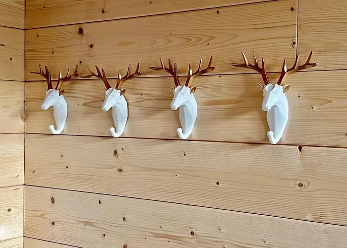 Z Prázdninový dům *